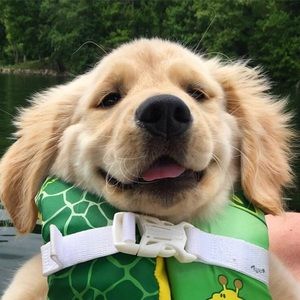 Meet your Posher, Ryan